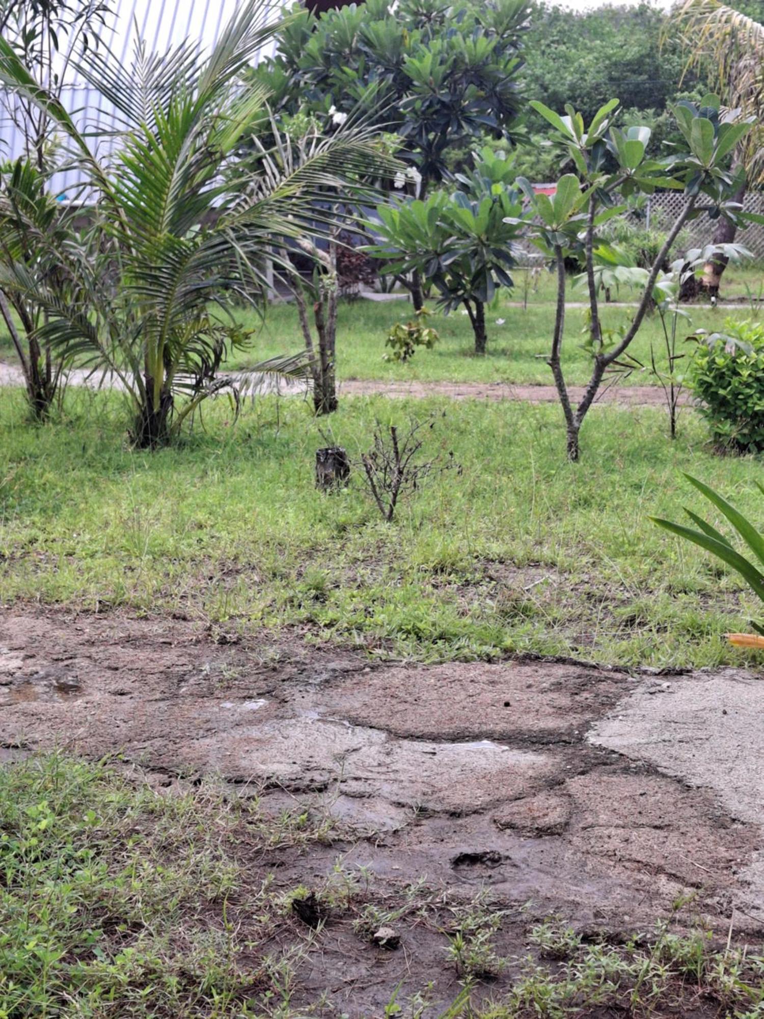 Cnunk Bungalow Gili Meno Exterior foto