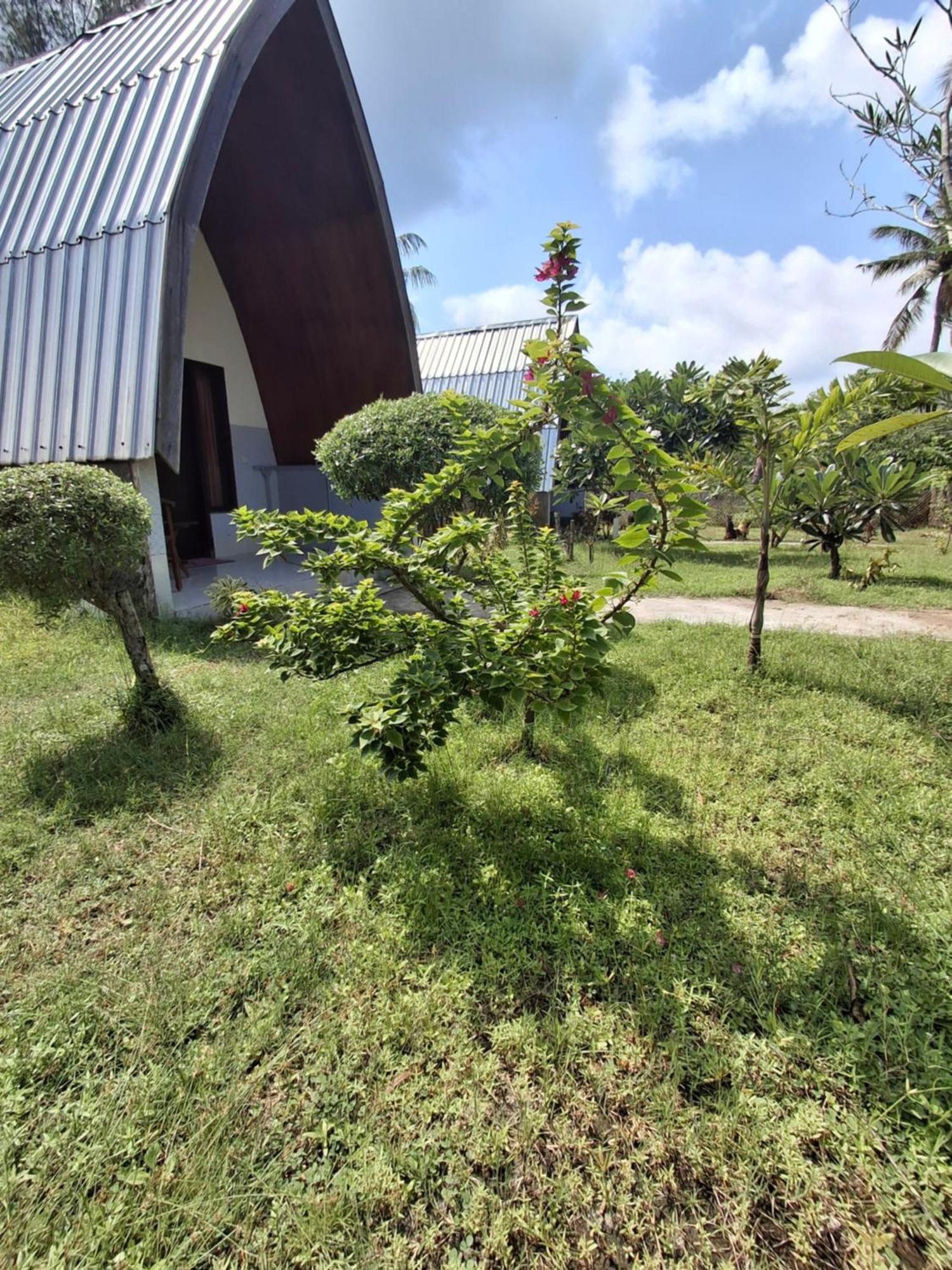 Cnunk Bungalow Gili Meno Exterior foto